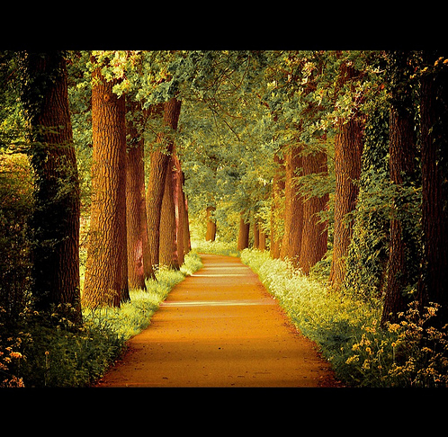 by-lars-van-de-goor by Lars van de Goor