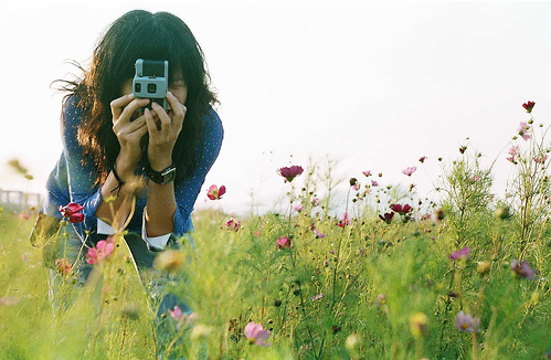 flower-camera by 油姬